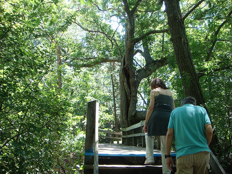 Western Michigan [2010] 023.JPG - Scenes from our trip to Western Michigan. Some places along the way were Ludington, Sleep Bear Dunes, and Traverse City.